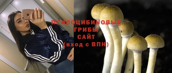 гидра Калач