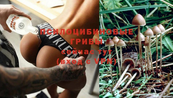 прущий лед Покровск